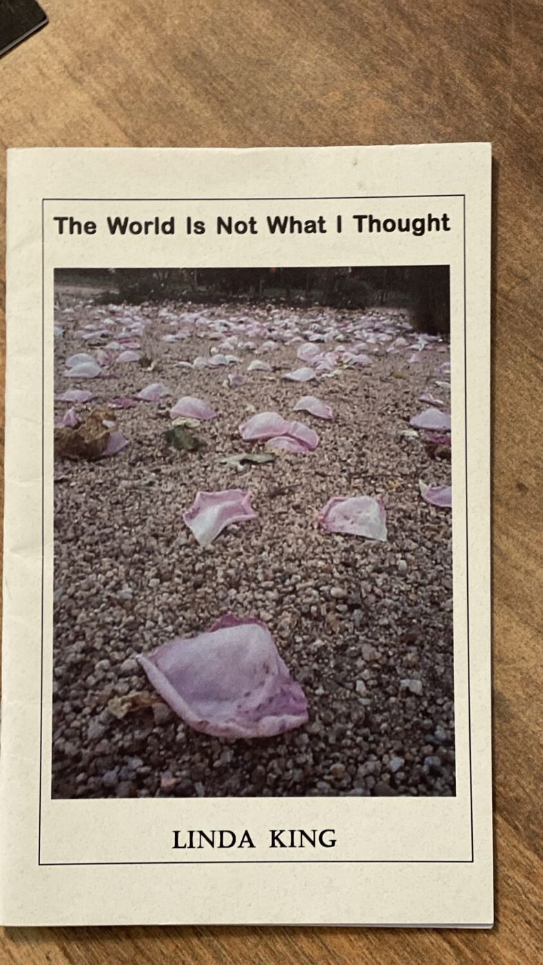 Cover of The World Is Not What I Thought